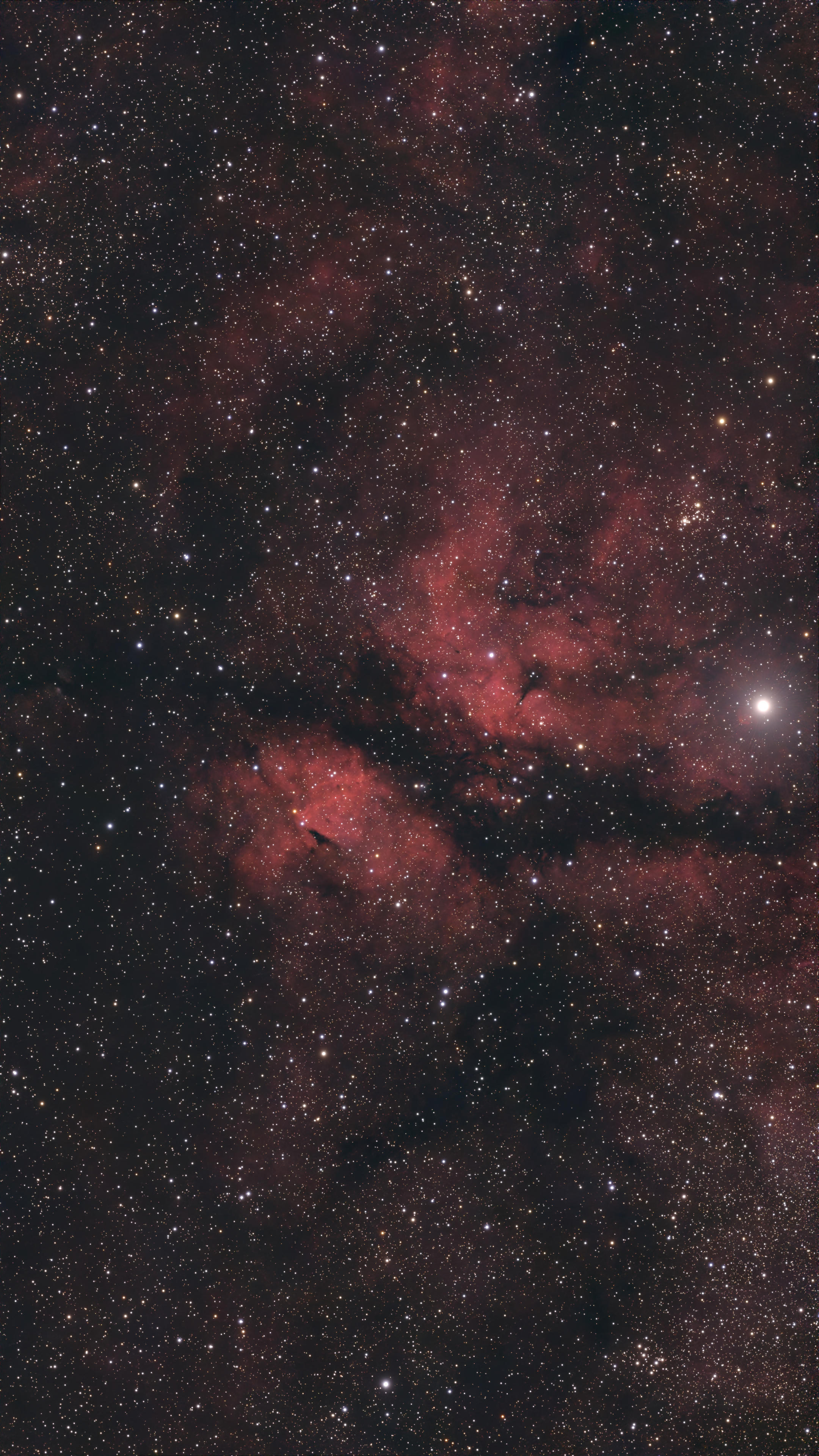 IC 1318 (Gamma Cygni Nebula)